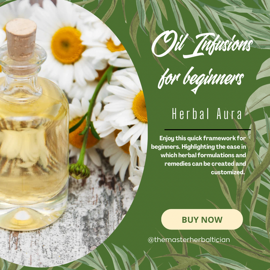 Herbal Infusions For Beginners